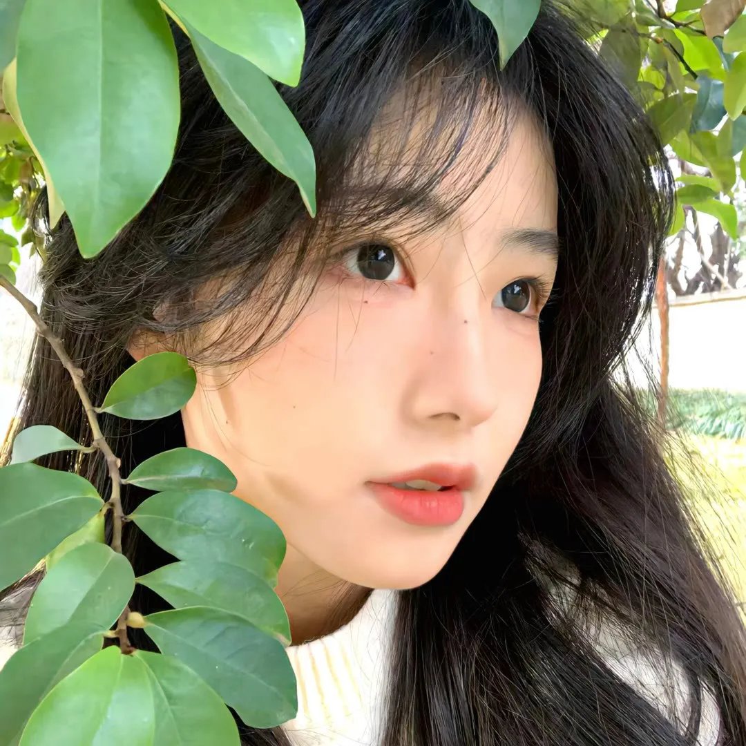 全新的地球